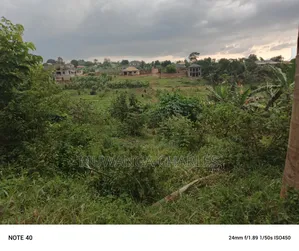 100by100ft Plot for Sale in Nangabo