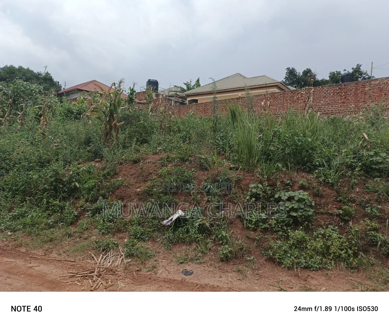 100by100ft Plot for Sale in Nangabo