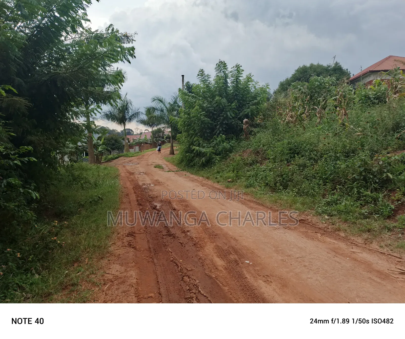 100by100ft Plot for Sale in Nangabo