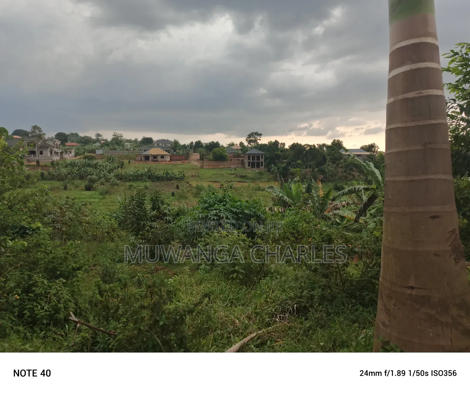 100by100ft Plot for Sale in Nangabo