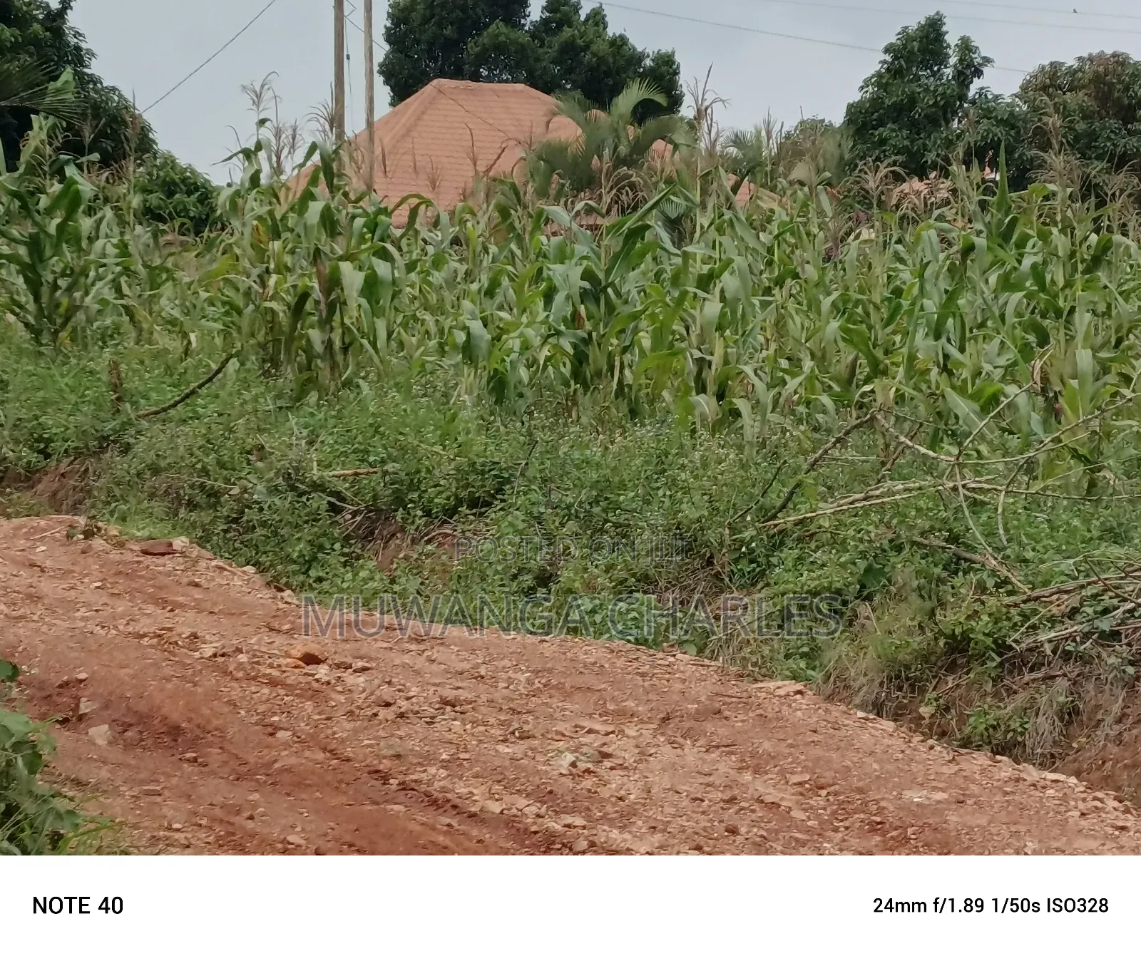 100by100ft Plot for Sale in Nangabo