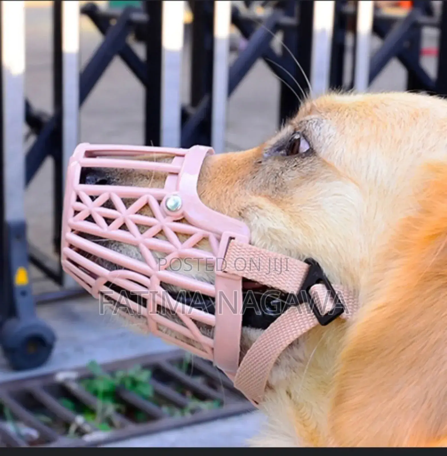 Dog Adjustable Plastic Muzzle