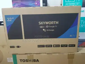 Skyworth Google Tv