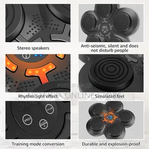 Smart Boxing Pad With Inbuilt Bluetooth Speaker and Gloves