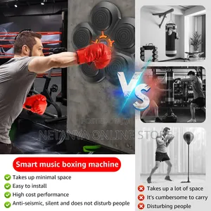 Smart Boxing Pad With Inbuilt Bluetooth Speaker and Gloves