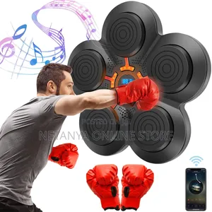 Smart Boxing Pad With Inbuilt Bluetooth Speaker and Gloves