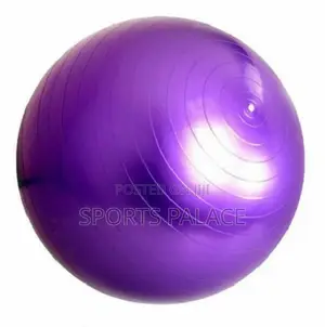 Yoga Ball/Maternity Ball