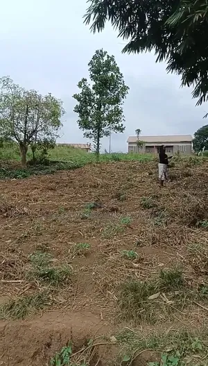 Kawuku Bwerenga Phase 2