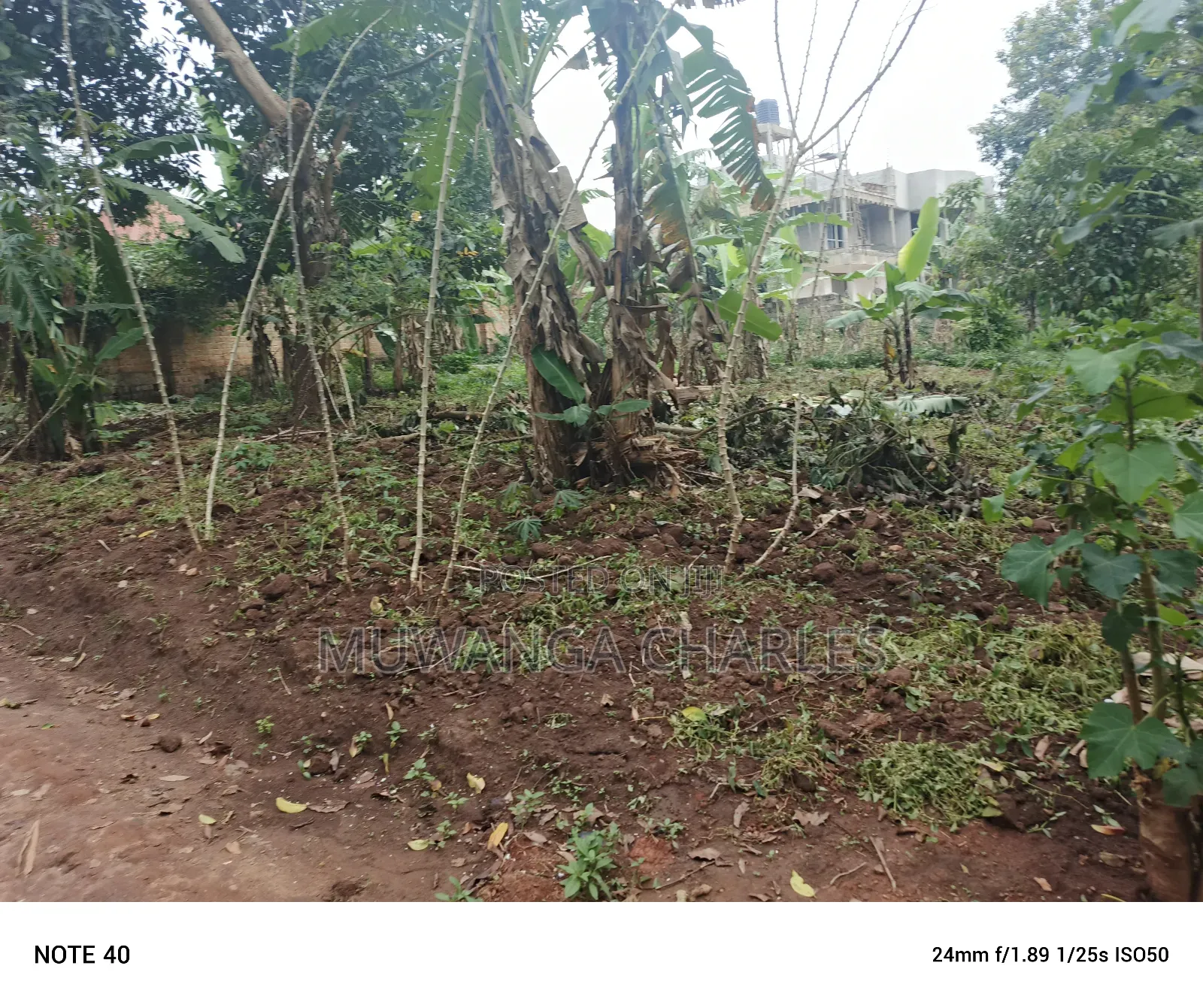 50by100ft Plot for Sale in Masoli