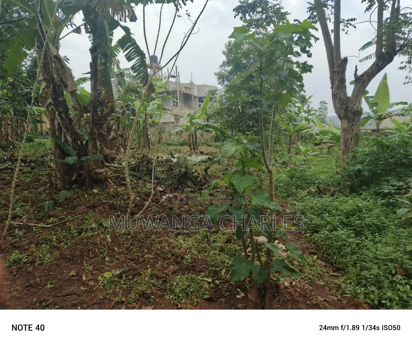 50by100ft Plot for Sale in Masoli