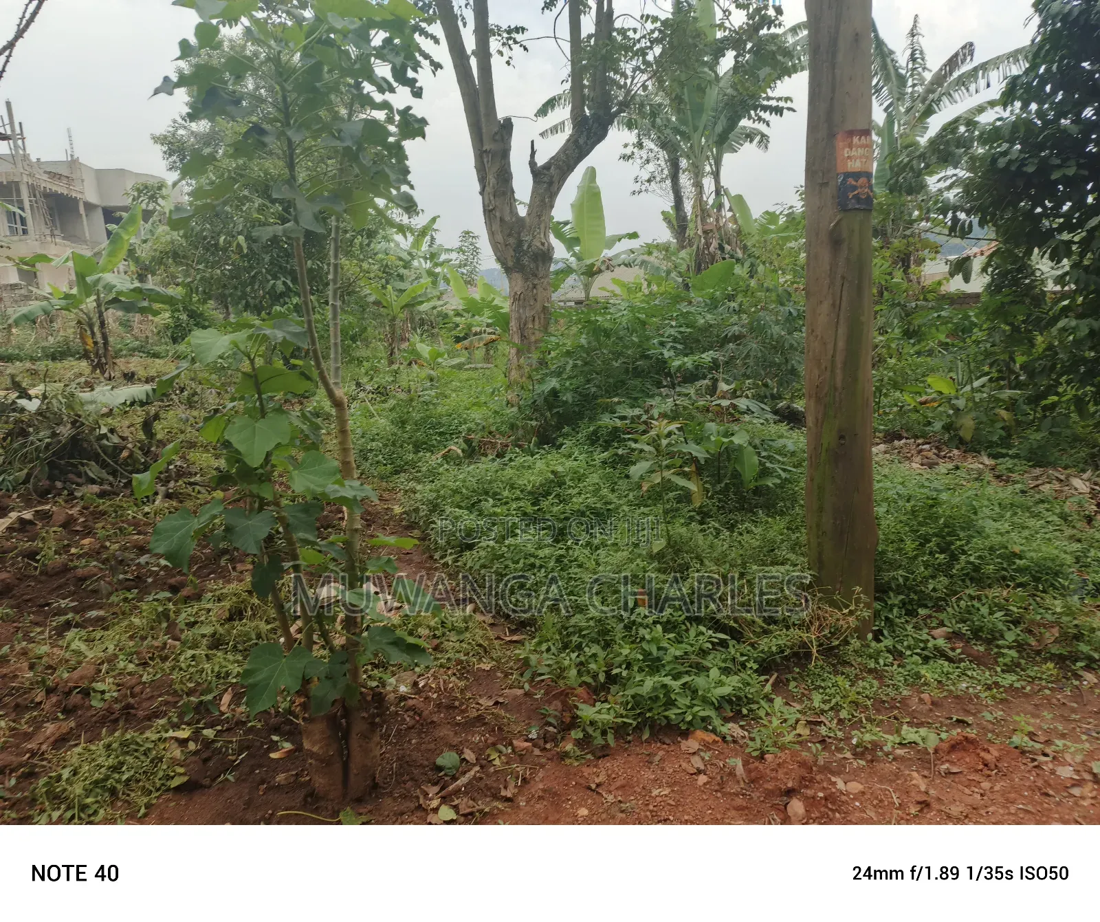 50by100ft Plot for Sale in Masoli