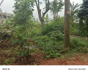 50by100ft Plot for Sale in Masoli
