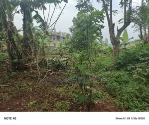 50by100ft Plot for Sale in Masoli