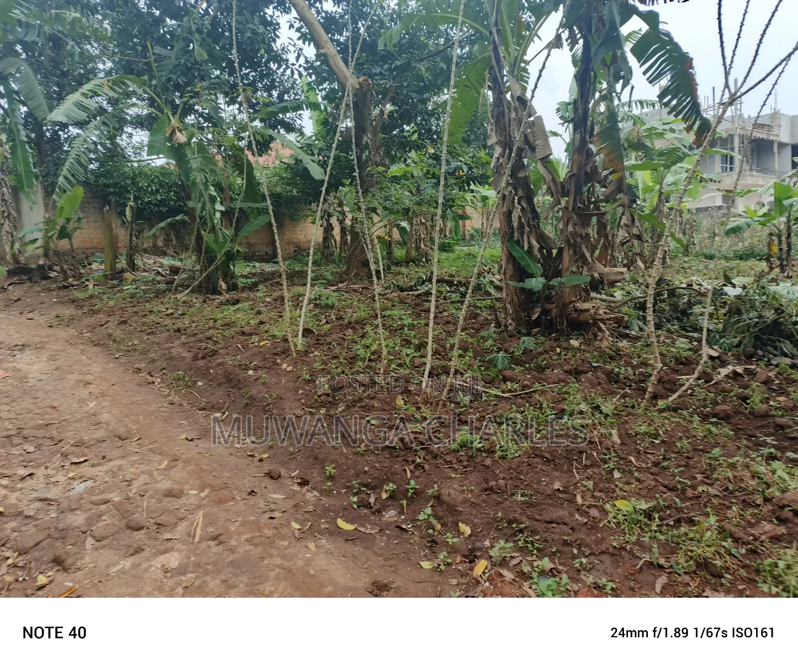 50by100ft Plot for Sale in Masoli