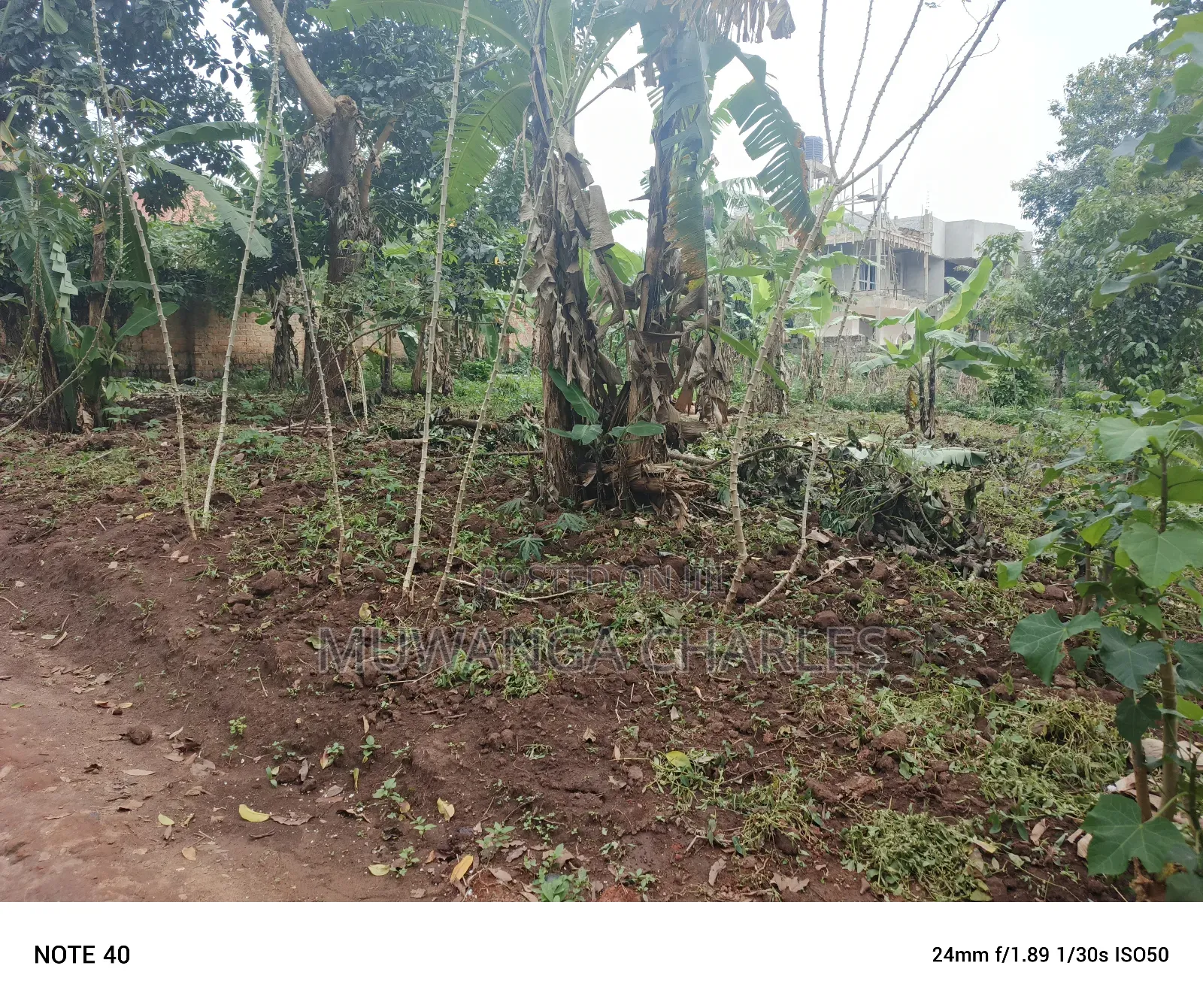 50by100ft Plot for Sale in Masoli