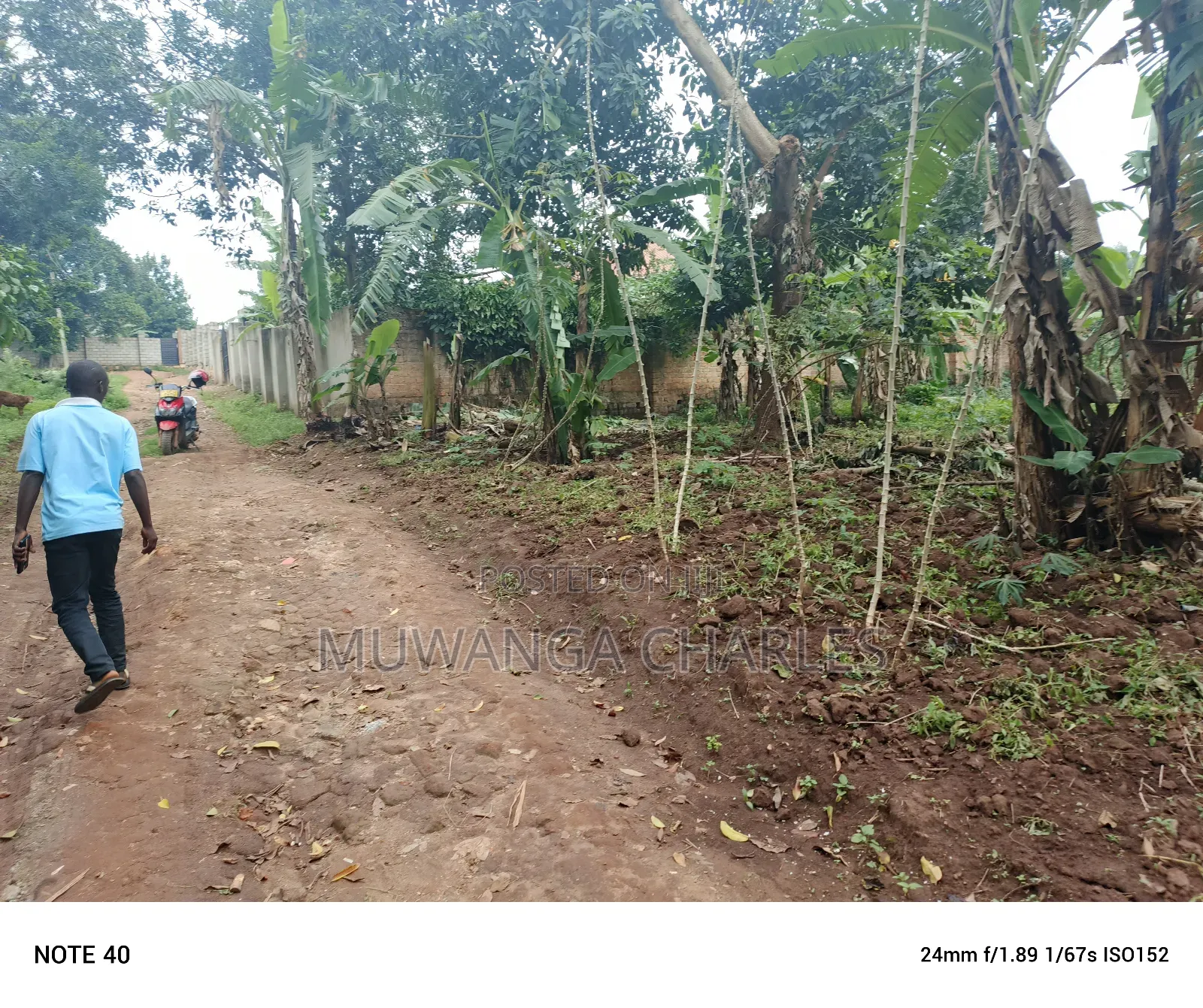 50by100ft Plot for Sale in Masoli