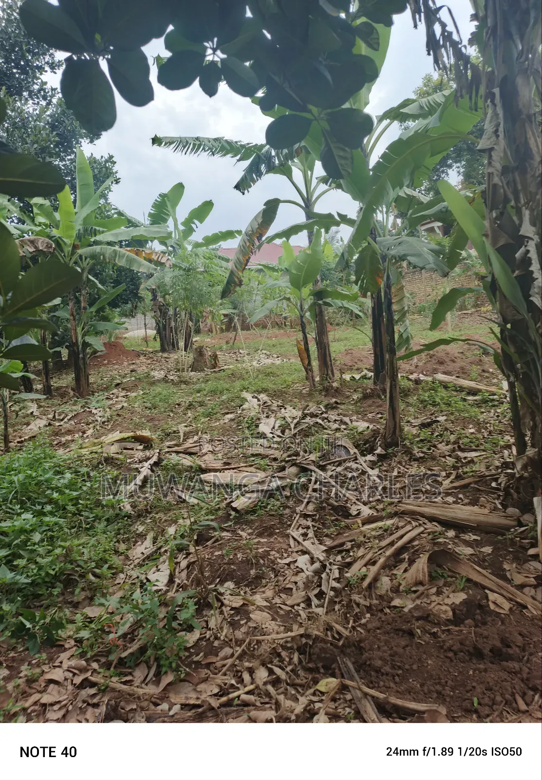 100by50ft Plot for Sale in Masoli