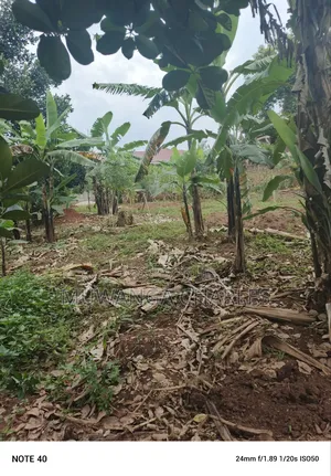 100by50ft Plot for Sale in Masoli
