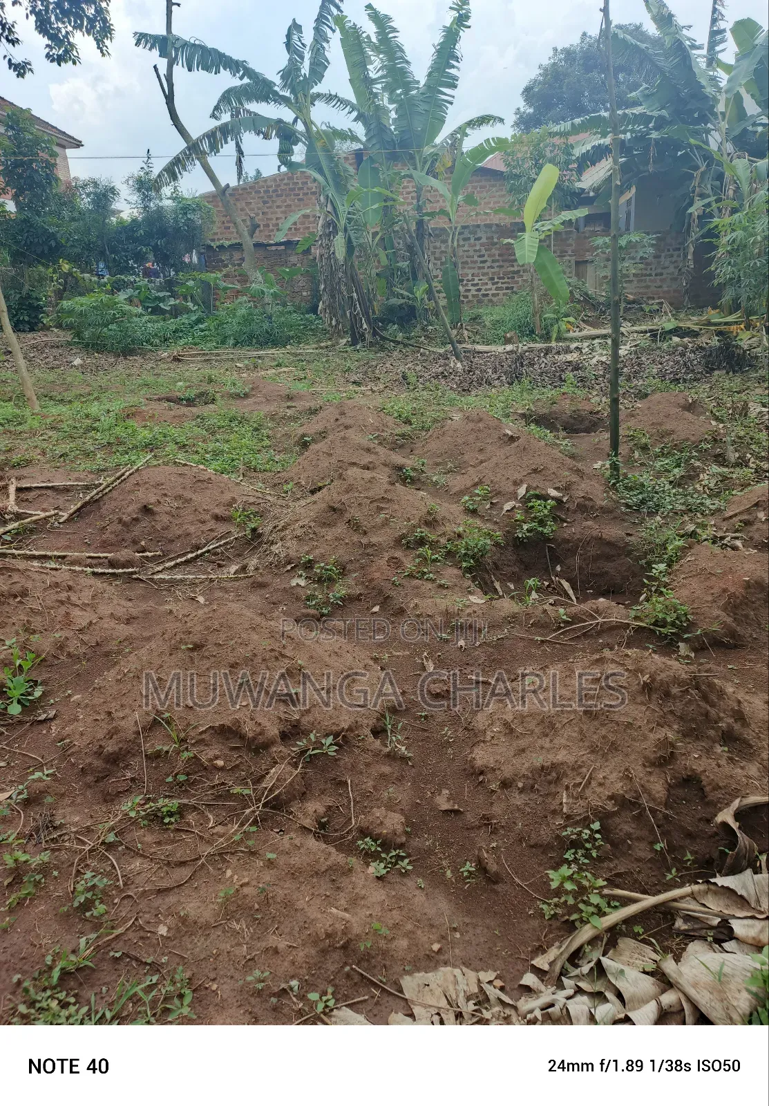 100by50ft Plot for Sale in Masoli