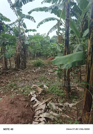 100by50ft Plot for Sale in Masoli