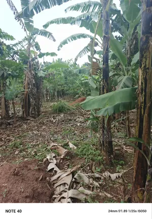 100by50ft Plot for Sale in Masoli