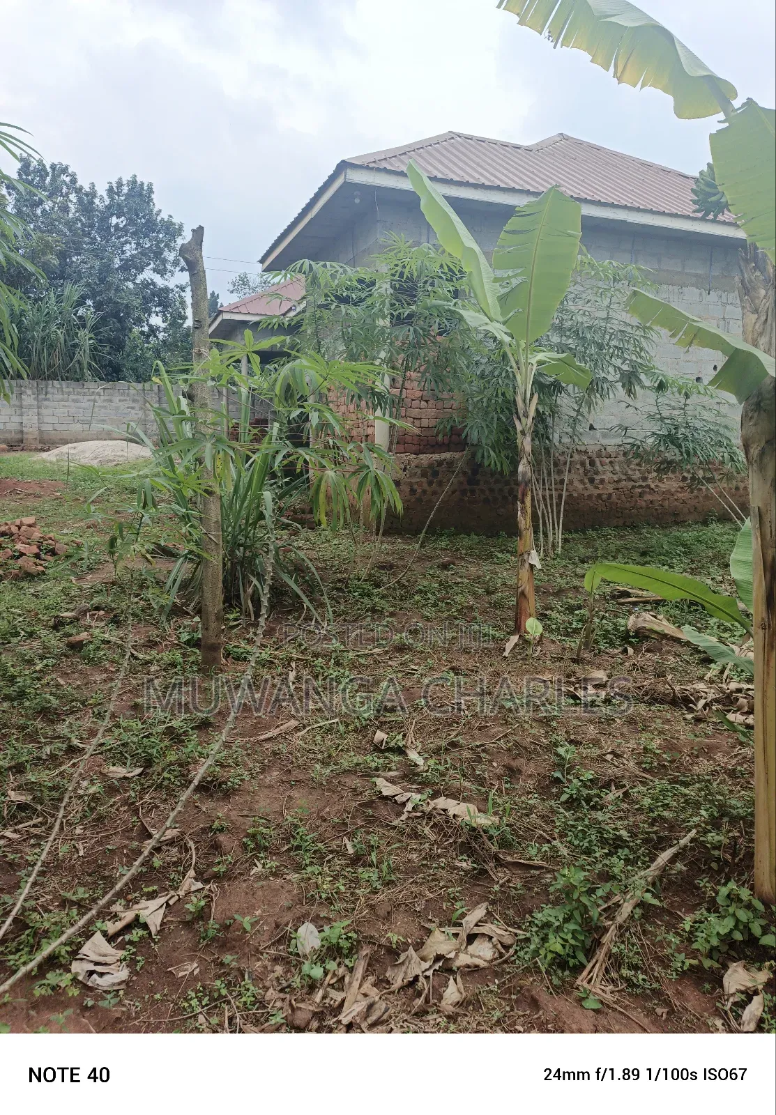 100by50ft Plot for Sale in Masoli