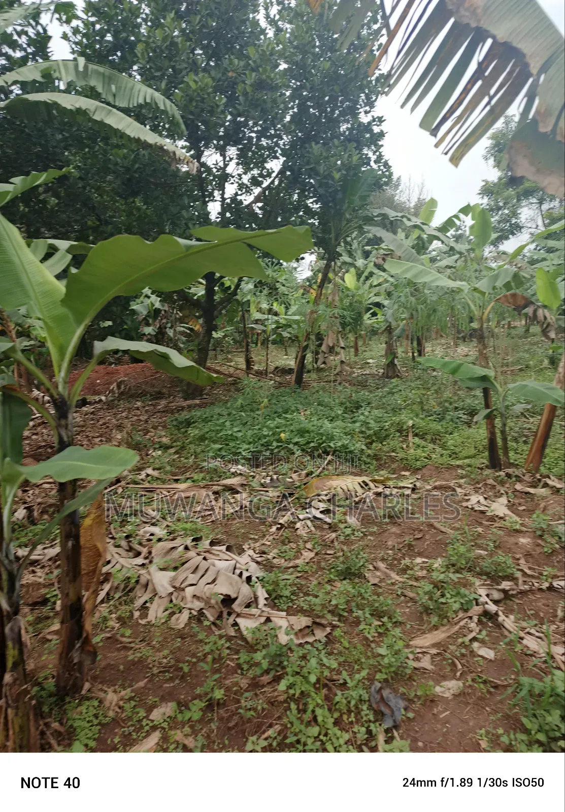 100by50ft Plot for Sale in Masoli