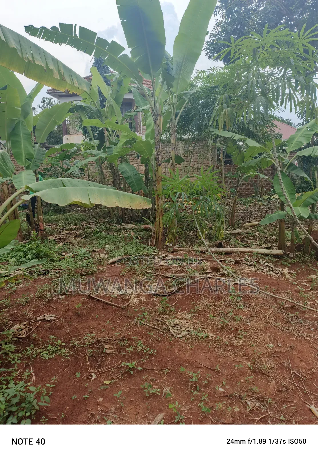 100by50ft Plot for Sale in Masoli