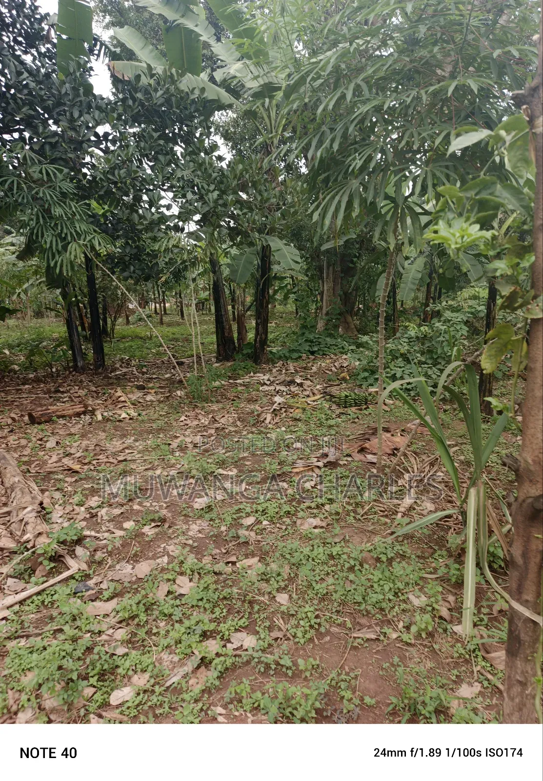 100by50ft Plot for Sale in Masoli