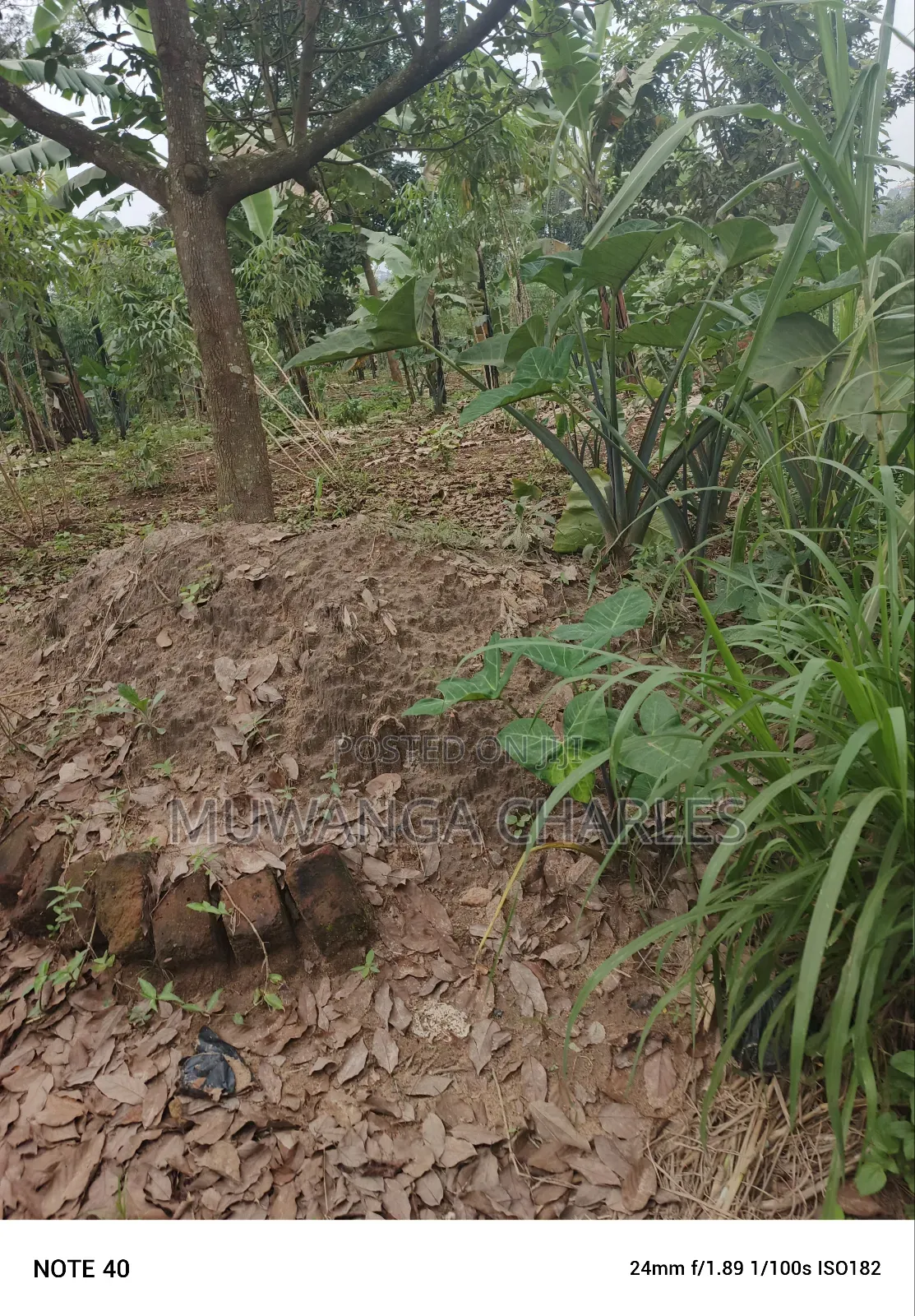 100by50ft Plot for Sale in Masoli
