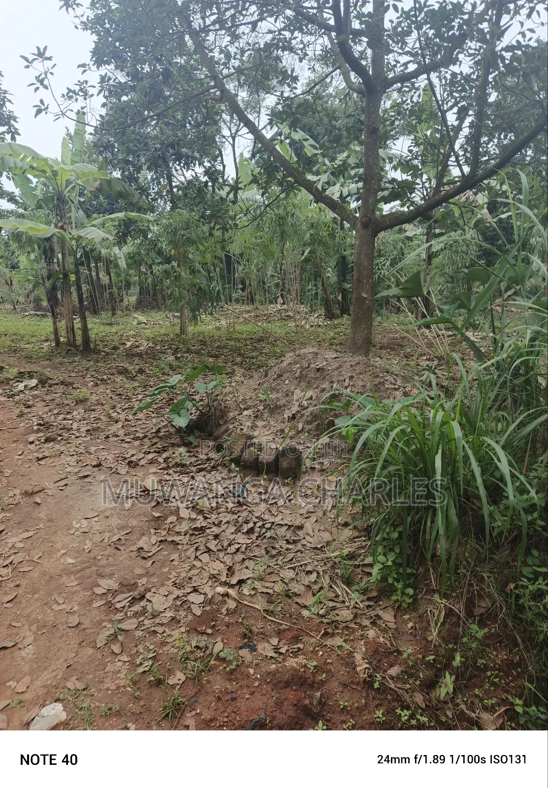100by50ft Plot for Sale in Masoli