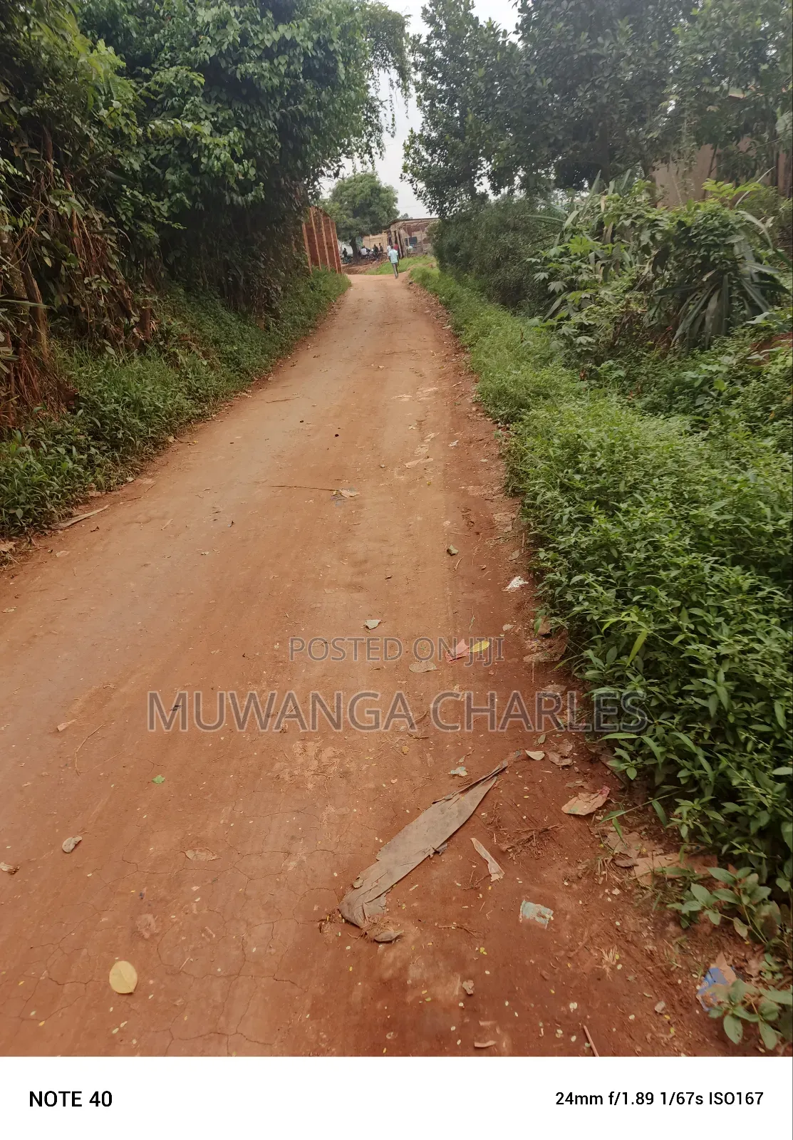 100by50ft Plot for Sale in Masoli