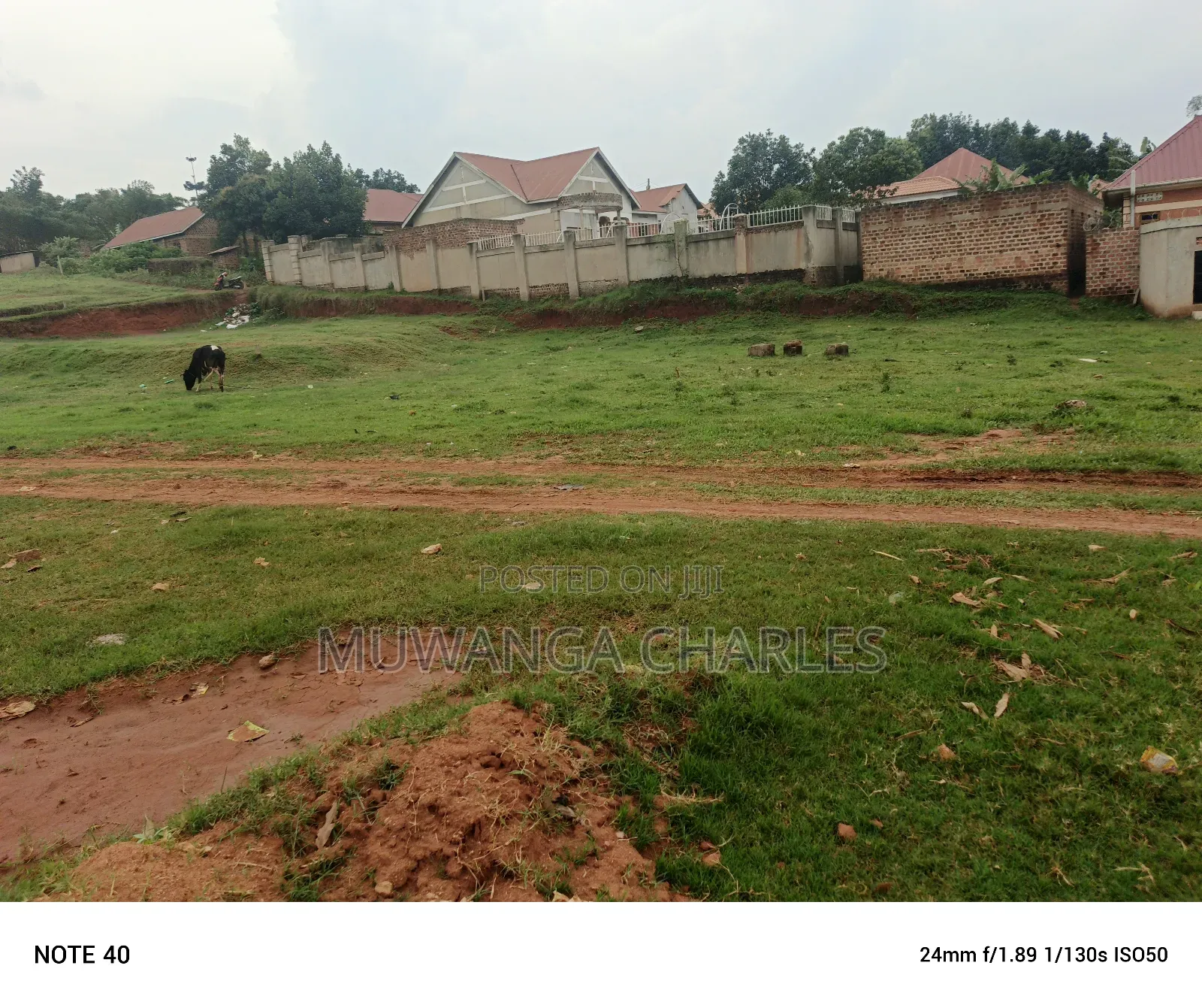 100by50ft Plot for Sale in Masoli