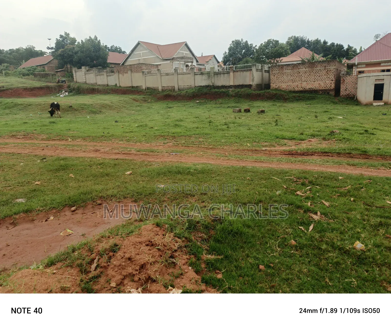 100by50ft Plot for Sale in Masoli