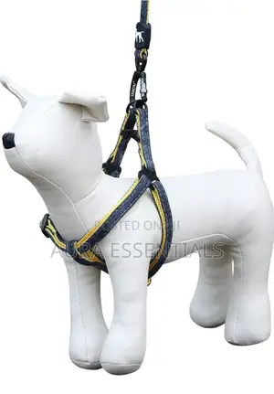 Dog Harness Set With Leash