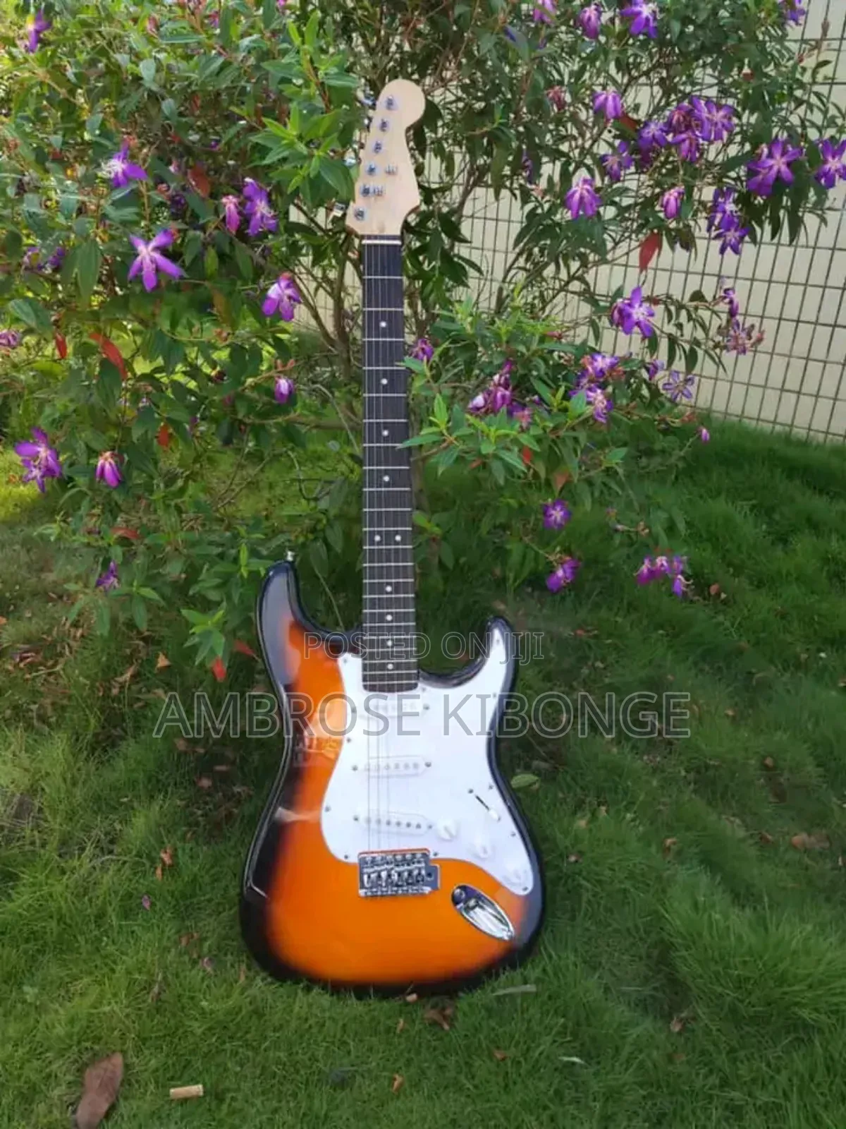 New STATOCASTER Fender Multicolored Solo Electric Guitars.