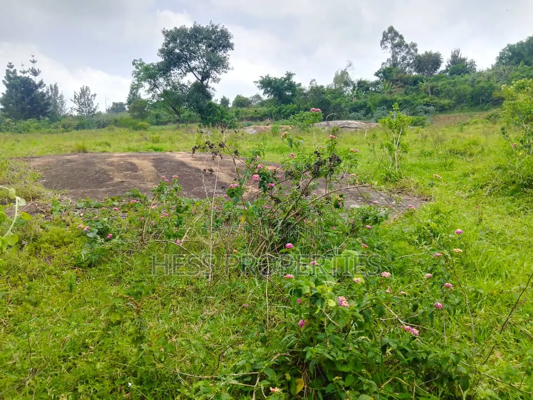 Stone on Sale Located in Kyenjojo District