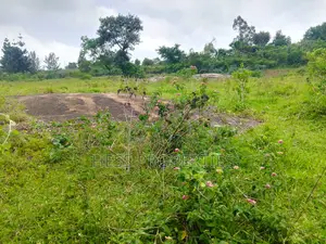 Stone on Sale Located in Kyenjojo District
