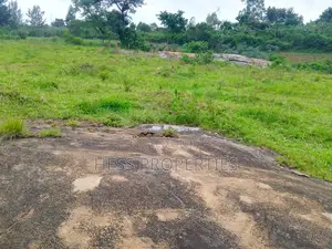 Stone on Sale Located in Kyenjojo District