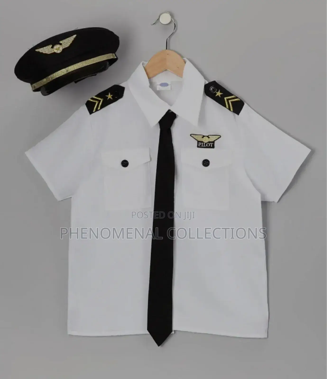 Careers Day Costume for a Pilot