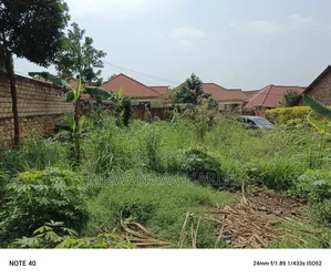 100by50ft Plot for Sale in Buwate