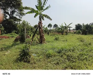 100by60ft Plot for Sale in Magere