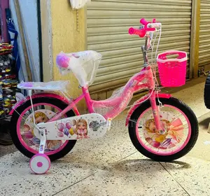 New Kids Bicycle