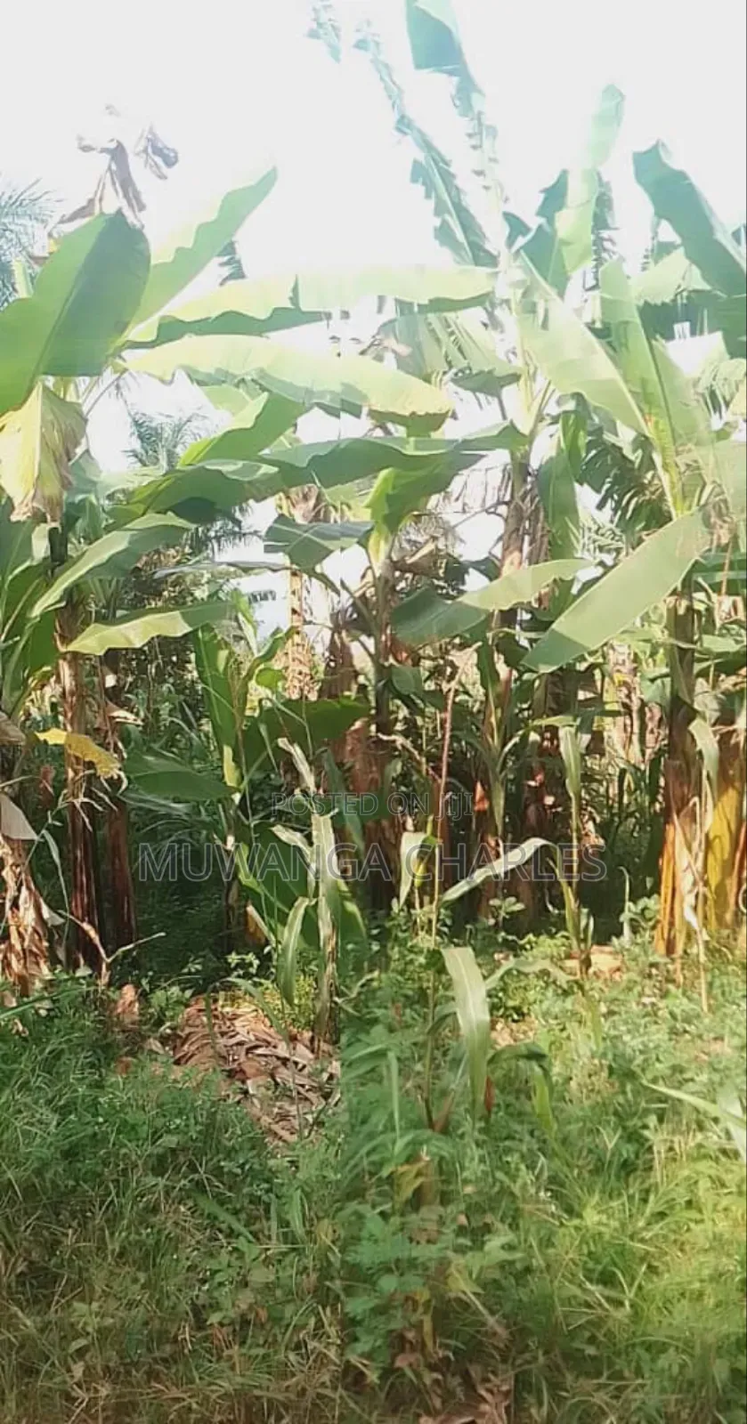 Plot for Sale in Magere