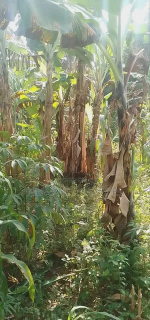 Plot for Sale in Magere