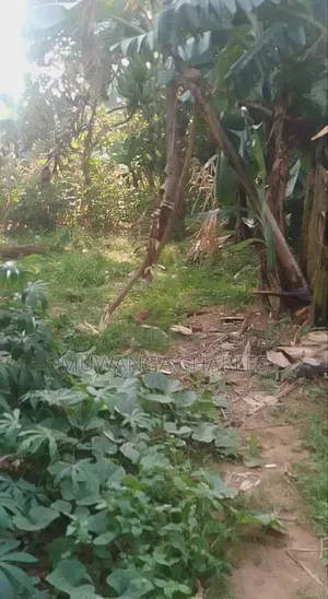Plot for Sale in Magere