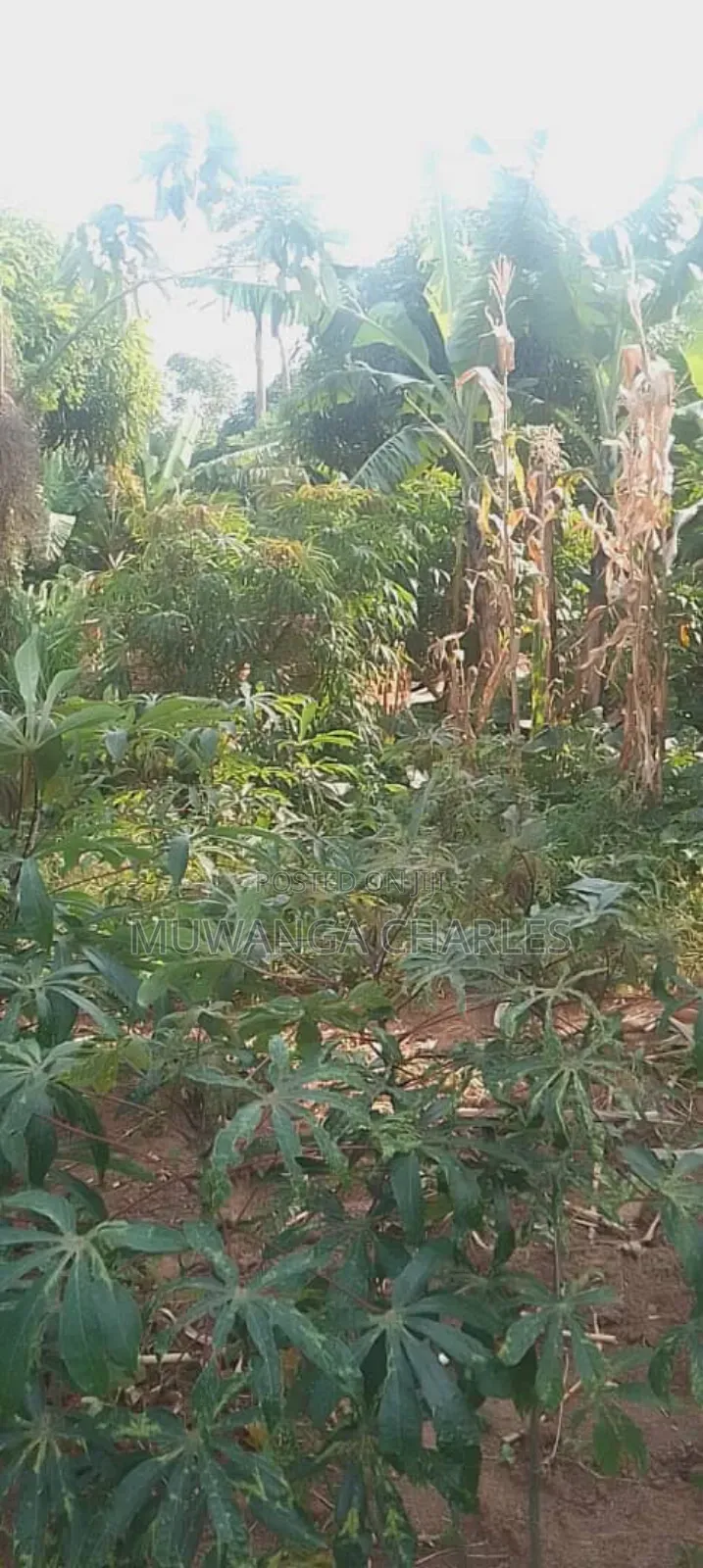 Plot for Sale in Magere