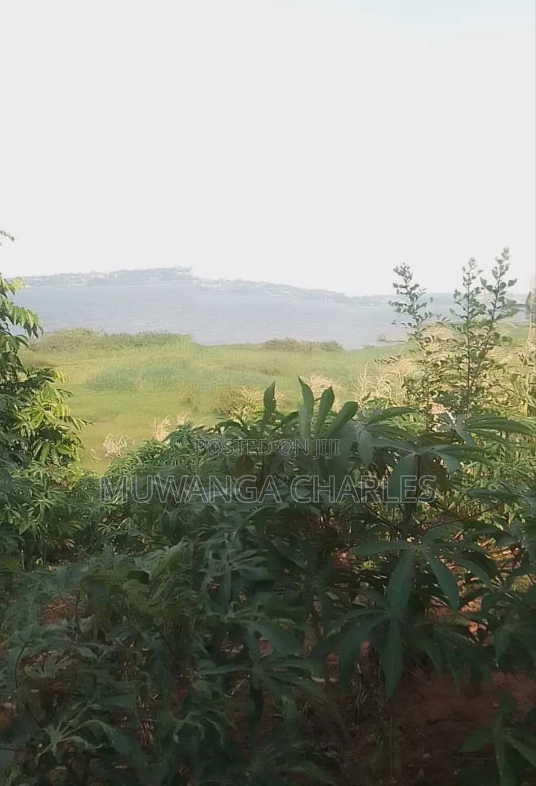 Plot for Sale in Magere
