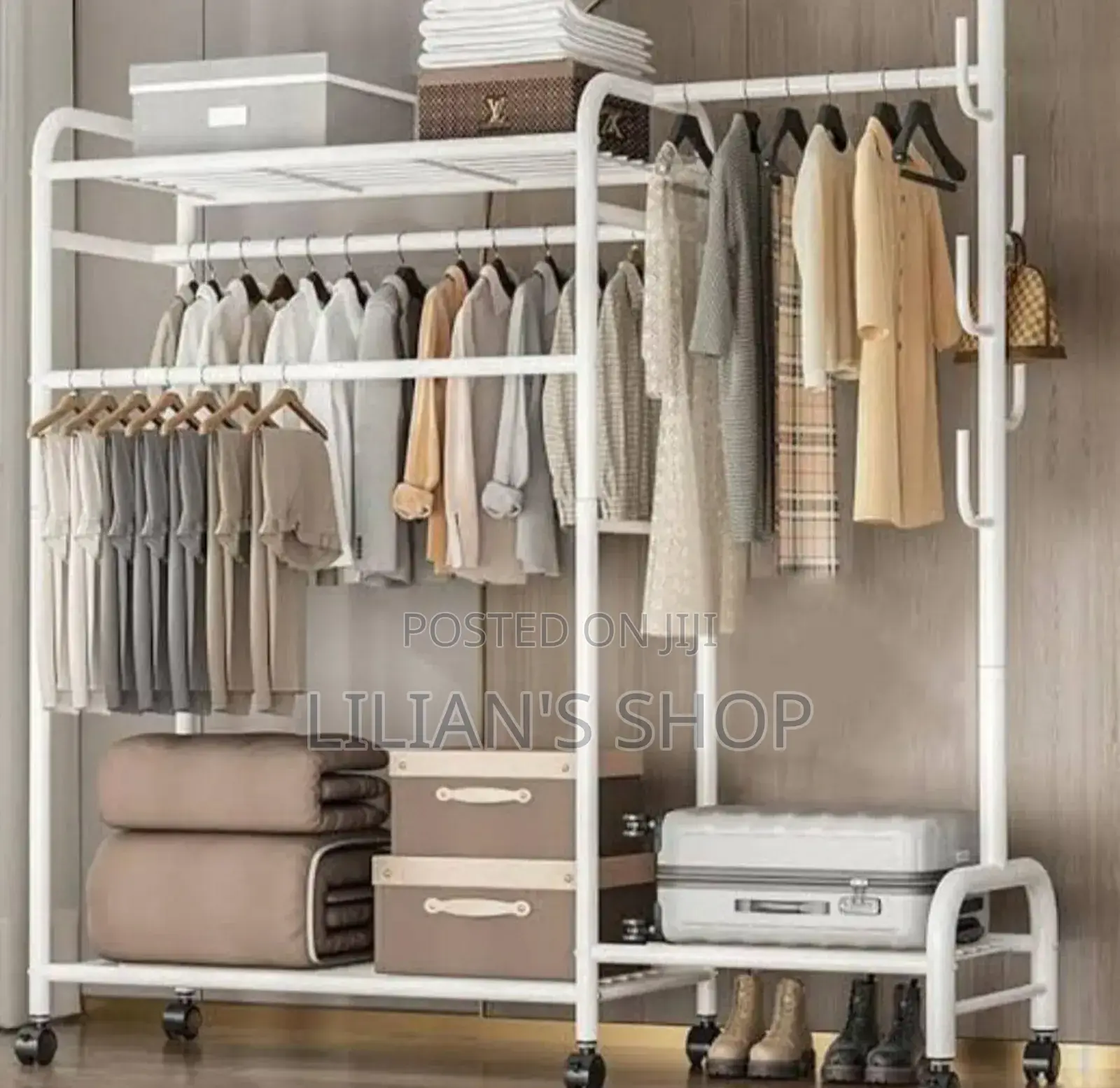 Metallic Shoe and Garment Rack