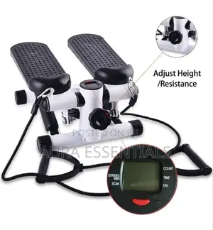 2 in 1 Stepper With Power Ropes